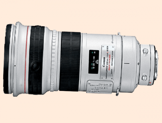 Canon EF 300mm F2.8 IS USM